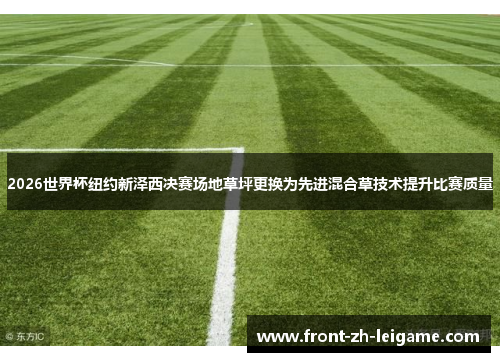 2026世界杯纽约新泽西决赛场地草坪更换为先进混合草技术提升比赛质量 2026世界杯纽约新泽西决赛场地草坪更换为先进混合草技术提升比赛质量